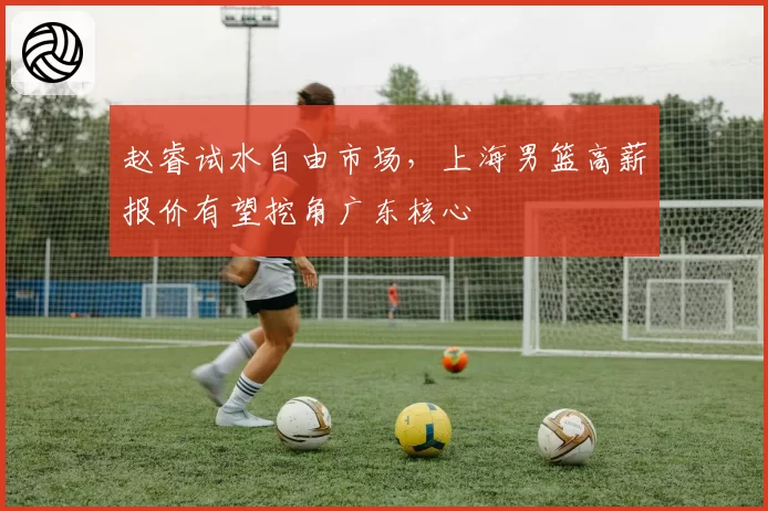 赵睿试水自由市场，上海男篮高薪报价有望挖角广东核心